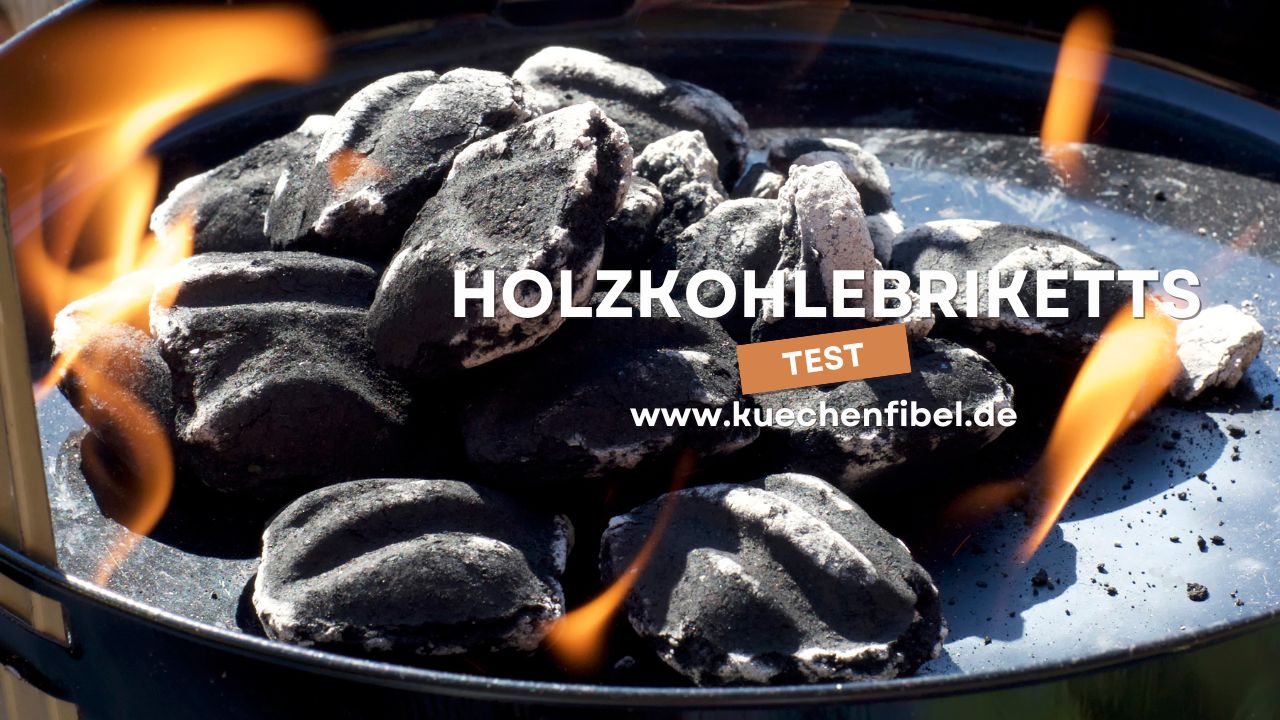 Holzkohlebriketts Test