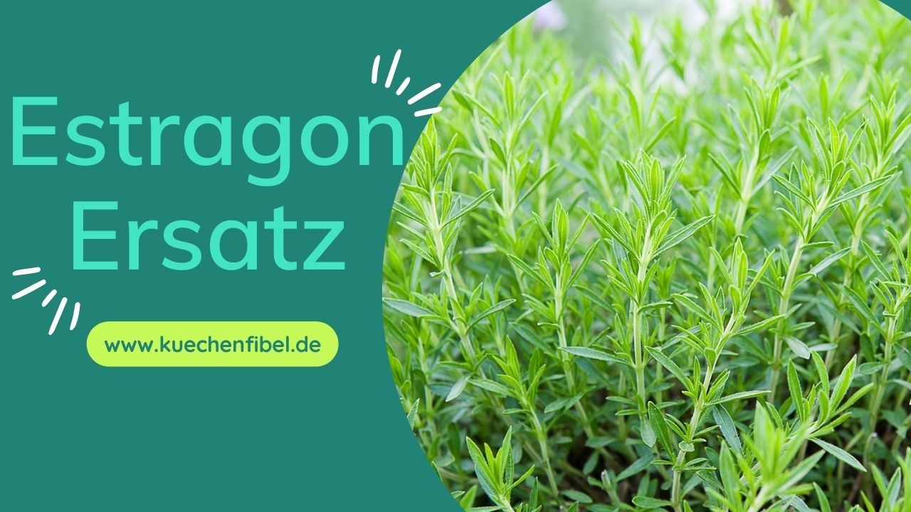 Estragon Ersatz: 15 besten Einfache Alternativen